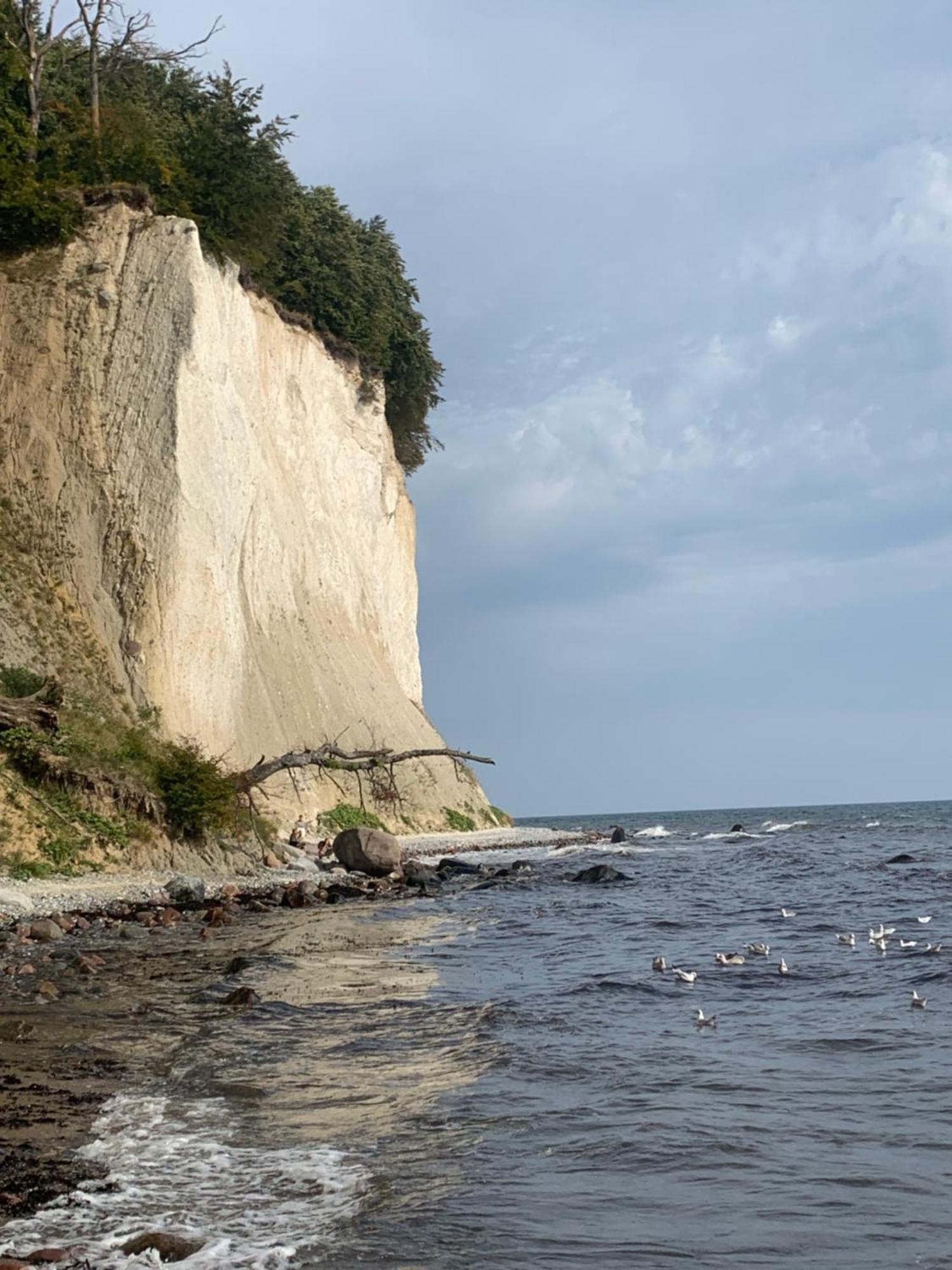 Ahoi Βίλα Wiek auf Rügen Εξωτερικό φωτογραφία